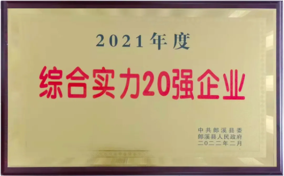2021年度綜合實力20強