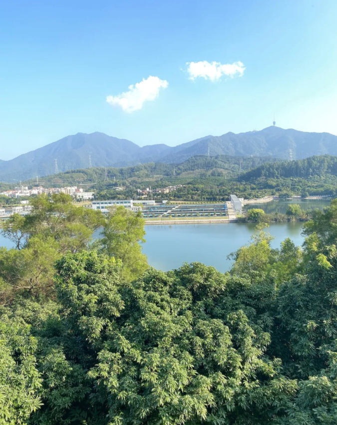 淘金山綠道 淘金山綠道
