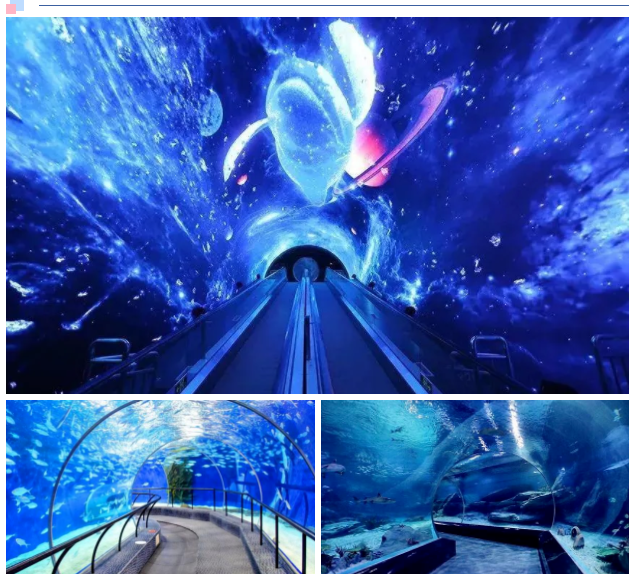 亞克力水族館視窗.png