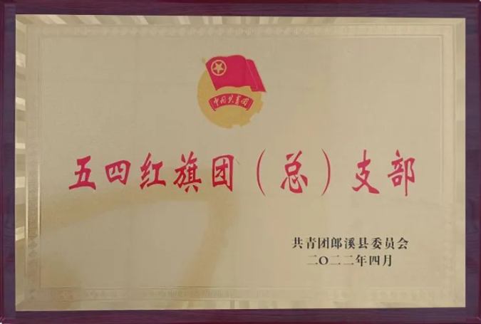 五四紅旗團（總）支部.png