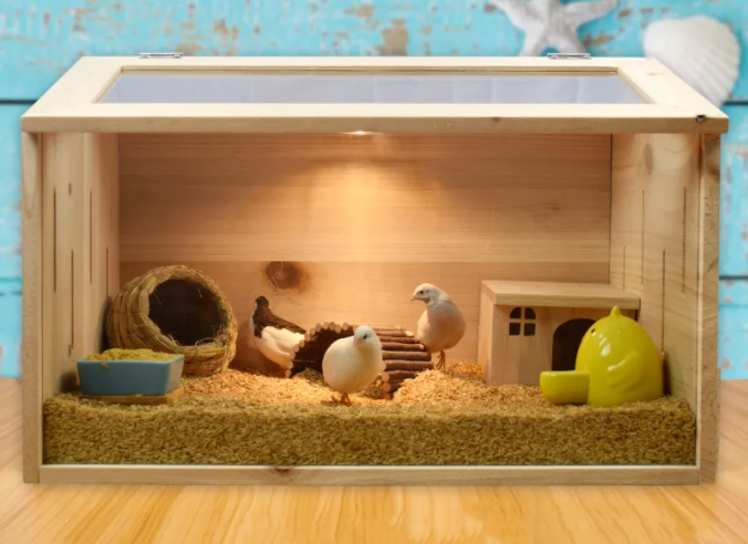 蘆丁雞寵物飼養箱.png